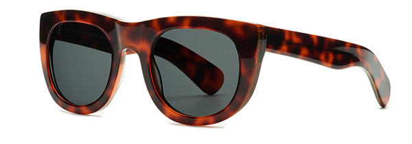 SUTTON Dark Havana